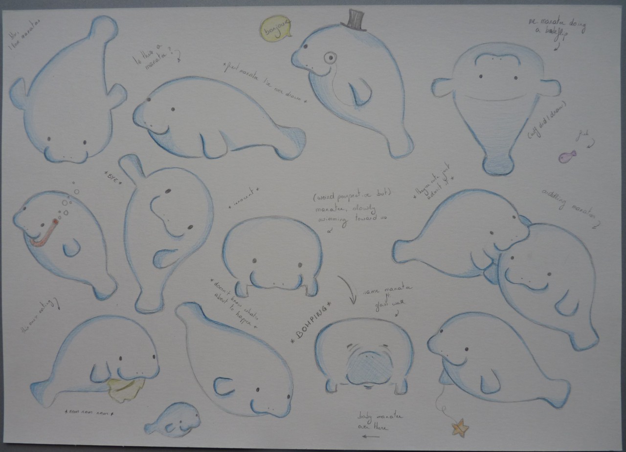 heda-tyrell:  the world deserves a bit more happiness so here are some manatees &lt;3(click