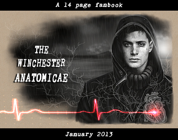 petite-madame:  The Winchester Anatomicae is a 14 page fanbook focusing on hurt!Dean