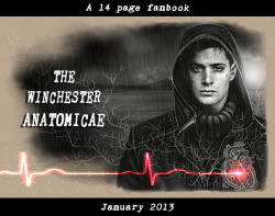 Petite-Madame:  The Winchester Anatomicae Is A 14 Page Fanbook Focusing On Hurt!Dean