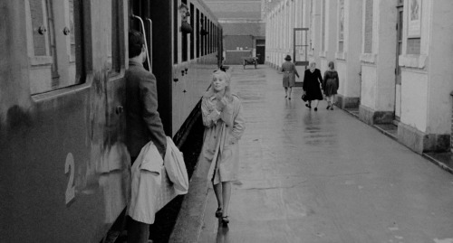 vechernyaja: Catherine Deneuve and Nino Castelnuovo in The Umbrellas of Cherbourg, 1964, directed by