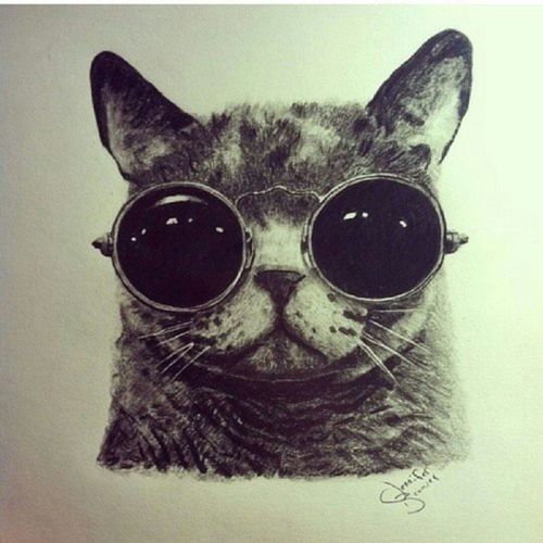 zombies-lovee:  Hippie Cat na We Heart It. 