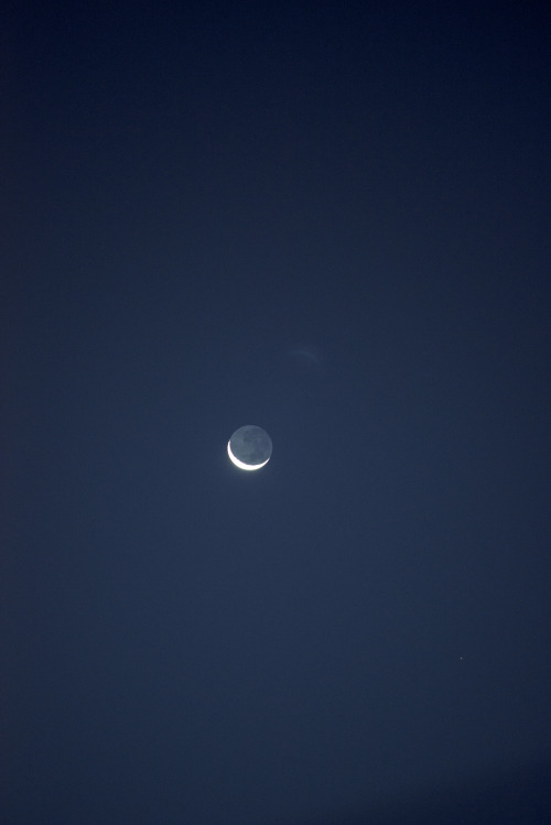 apariciopaula:  Un eco de luna.septiembre dosmil 19 ~ Buenos Aires.  