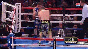 forfightersnotlovers:  Saul Alvarez vs. Liam SmithWBO World Super Welterweight Championship (September 17, 2016)Canelo folds Smith in half with a liver shot in the ninth round to win the title.