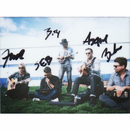 grizfolk