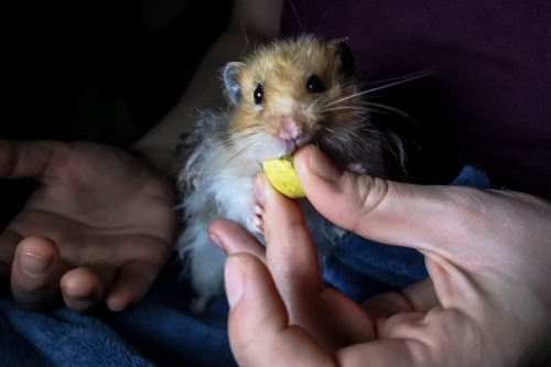 Such a fuzzy boy, I just love him so much.