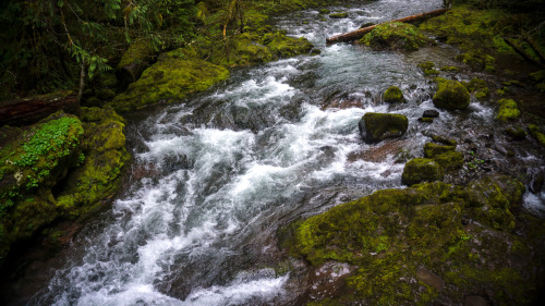 favorite kind of hike? the one that ends in natural hot springs.say no more.Bagby Hot Springs