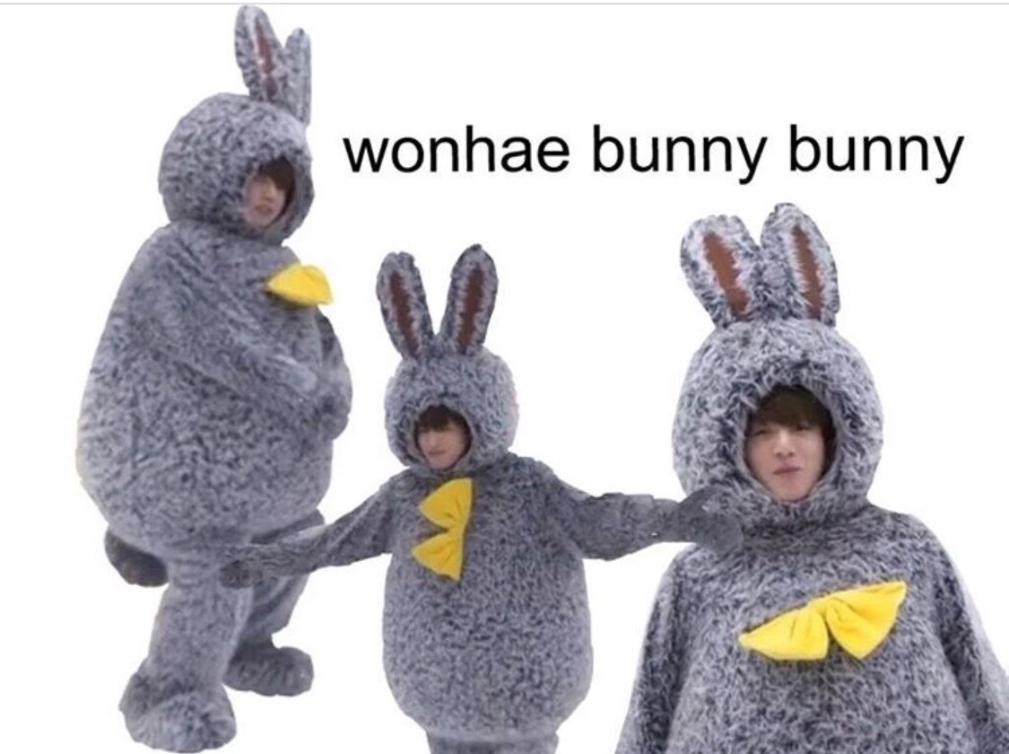 bangtanboyz13:  I can see him dancing this part in that cute ass bunny costume