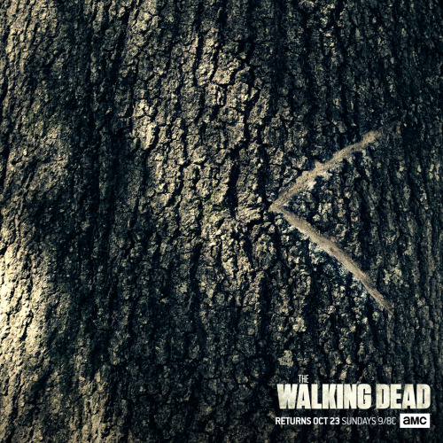 thewalkingdead:     TWD is back in three weeks—start preparing.   