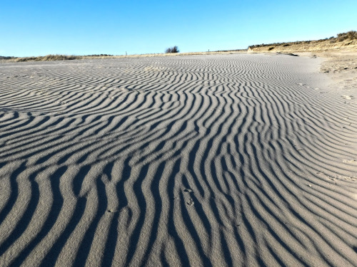 RipplesThis pattern of troughs and peaks on a scale of centimeters is one of the most common sedimen