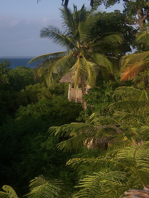 visitheworld:  Tree house peeps out among the trees, Chole Island / Tanzania (by annagfraser).