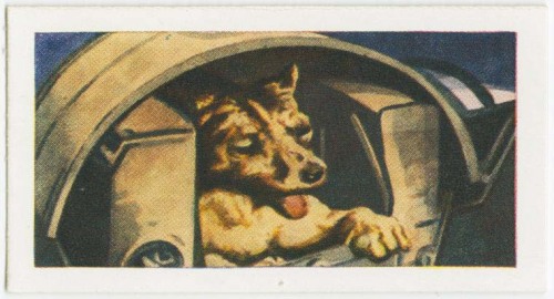 Arents Cigarette cards Into Space, including Laika, the Sputnik dog, 1957-58. USA. Via NYPL