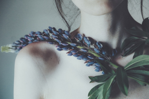 floralls: by  Anna O.