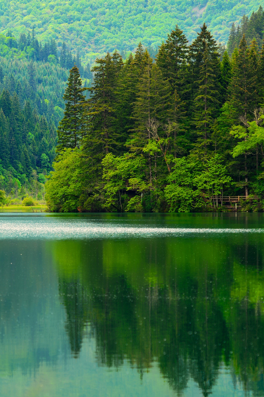 heaven-ly-mind:Dreamy landscape