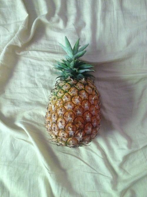 bbralejandra.tumblr.com/post/93590539725/