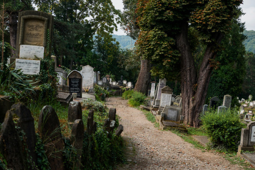 akcanzi:German cemetery Strada Ilarie Chendi - Sighișoara © 2018 Oscar Alcañiz - Please, do not eras