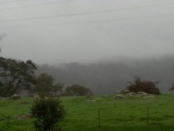 darkinternalthoughts:  Hello Victoria. 8°C and constant drizzle.  it was a beautiful day to hit the wineries in Yarra Valley!  my wine rack is much happier now, too.  a full rack is a happy rack.  ;o)