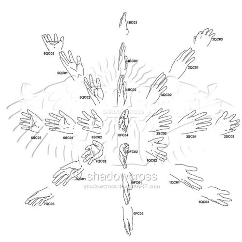 anatomicalart:  Some wonderfully detailed Hand studies by shadowcross.They were very kind to let us share these here on Tumblr. There are more detailed descriptions of each post over on their Deviantart, so please be sure to fave these sources over there