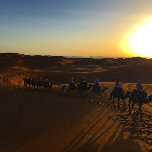 Sahara Desert, Morocco