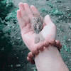 Unebikun Tumblr Com Tumbex