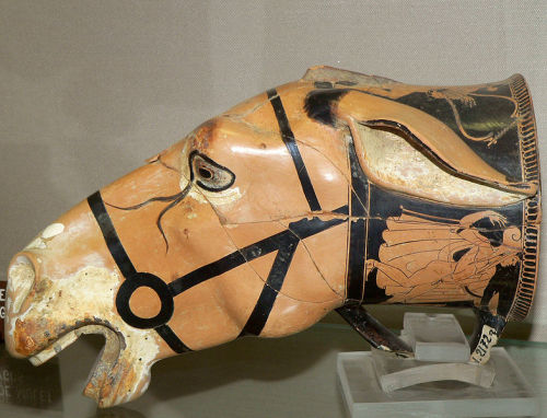 j-august:Clio20 | Ancient Greek rhyton in the shape of a mule’s head, made by Brygos, early 5th cent