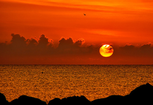 Rising sun by grazanna on Flickr.