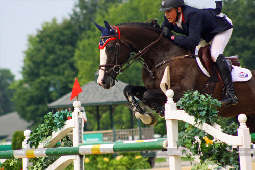 ahorse-of-course:  NAJYRC 2015