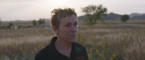 Frances McDormand as Fern / Nomadland (2020)Academy Award Winner as Best Actress