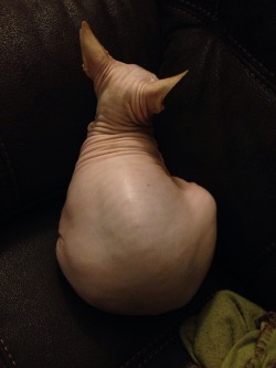 wethatkindoforc:  Abe does a stellar impression of the back of Solas’ head.   Or alternatively a butterball turkey. 