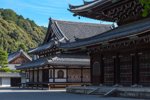 泉涌寺 ／ Sennyu-ji Temple by Yuya Horikawa Via Flickr: I want to introduce to the world, Kyoto views of
