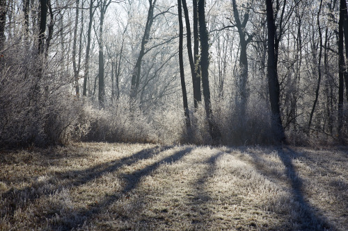 richardkralicek:Licht und Schatten