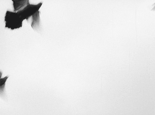 i just want to fly away 