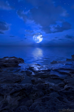 wowtastic-nature:  2012 Blue Moon rising over Jupiter Beach, Florida by  HDRcustoms (very busy)  on Flickr(Original size - Height: 1024px - Width: 678px)