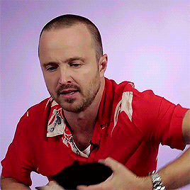 aaronnpaul: Aaron Paul Plays With Kittens While Answering Fan Questions