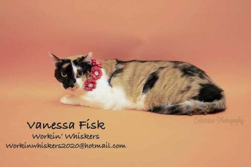 Vanessa Fisk From Workin' Whiskers In Hemet, California