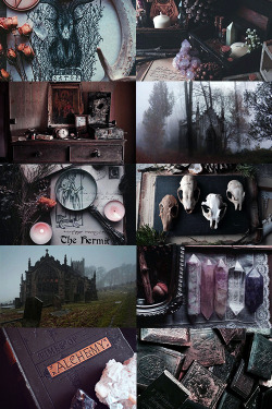 call-me-winter-soldier:  Witch’s aesthetic 