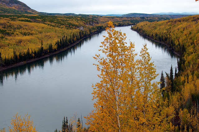 eddieerdmann:  Fall on the Liard River on Flickr. 
