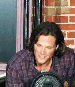 dicapriosleonardo:  I present to you: the level of Jared’s jokes when he’s slightly