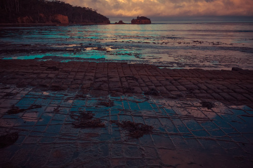 Tessellated Pavement at the Tasman Peninsula.Tasmania, Australia. March 2016