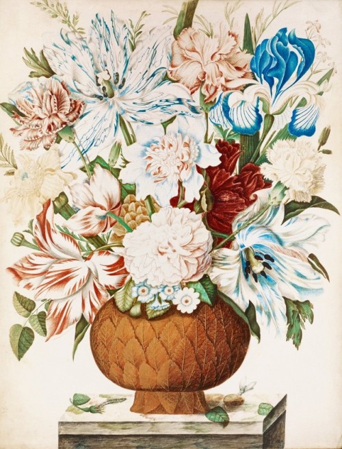 Still life with flowers   -   Maria Sybilla Merian German, 1647-1717Gouache and watercolour on vellu