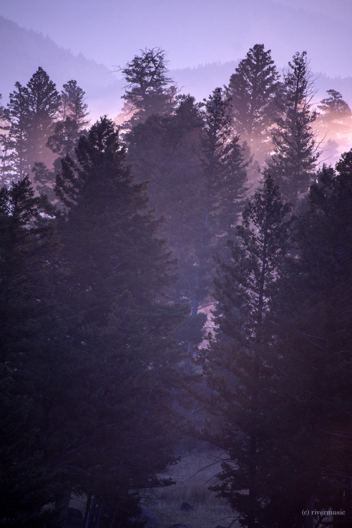 Into The Mystery: Blacktail Plateau, Yellowstone National Park, Wyomingriverwindphotography, sunrise