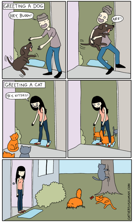 catversushuman:Unless I have treats…Cat Versus Human by Yasmine Surovec [website | tumblr | t