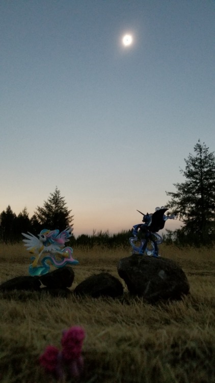 pinkiepiesightings:“Luna! Lower the moon!”“Why don’t you come over here and 