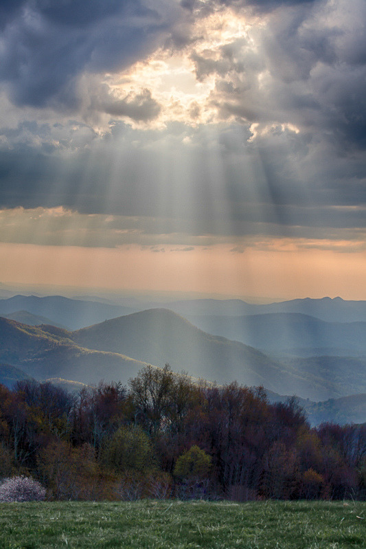 brutalgeneration:  Portrait of Glory… (by Rob Travis) 
