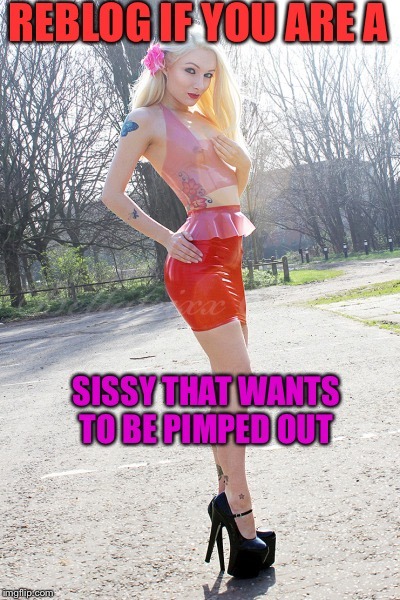 bunnyspunny:  sissy-bimbo-slut:  bestsissypics:  http://bestsissypics.tumblr.com/archive  Dressed to FUCK <3 xxx   yes