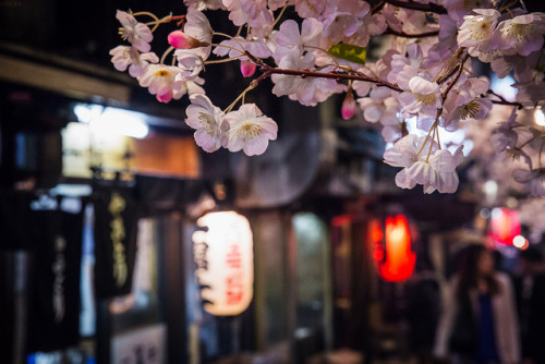 yumenomusume: Sakura at Omoide Yokocho by Sandro Bisaro on Flickr.