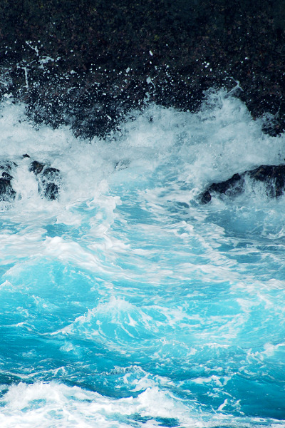 senerii:  untitled (by Masami Tate)                 