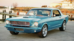 niki4132:  1966 Classic Ford Mustang. Gorgeous car.