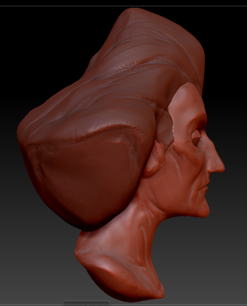 [YELLS INTO THE SUN[ THIS WAS ONLY SUPPOSED TO BE A REFERENCE SCULPT FOR HER HAIR