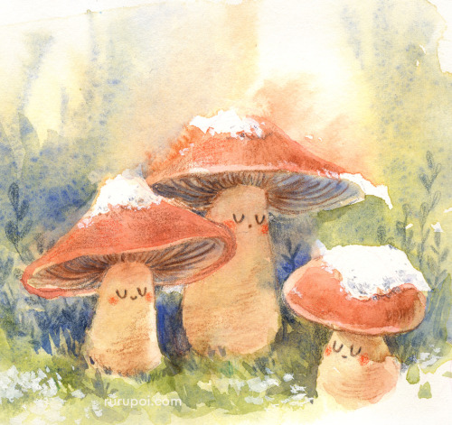 Dreaming of warm, sunny days for hiking and mushrooming! I was surprised to learn some fungi do grow