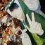 jjongpics